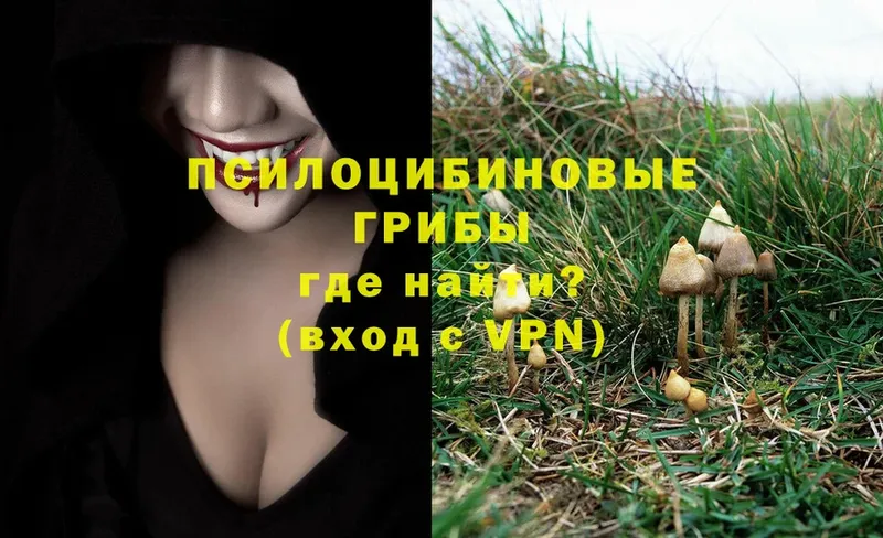 Псилоцибиновые грибы Psilocybine cubensis  мега зеркало  Менделеевск 